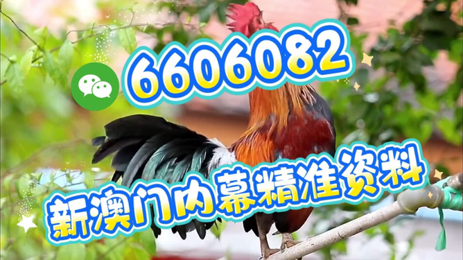 澳門特馬今天開獎結(jié)果，揭秘彩票背后的秘密，澳門特馬今天開獎結(jié)果揭秘，彩票背后的秘密大揭曉