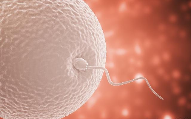 女人受孕最佳時間，掌握科學知識，迎接新生活，女人受孕最佳時間，科學指導下的新生活啟程