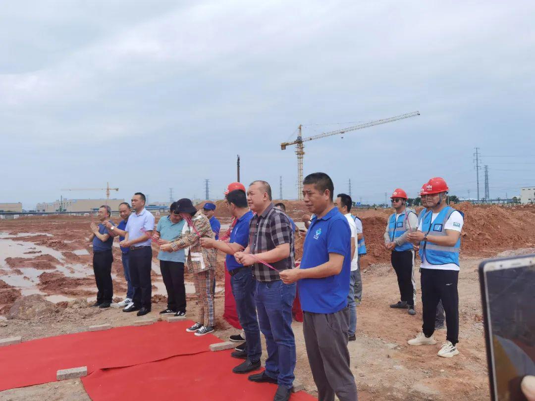 李子園股票，投資潛力與前景展望，李子園股票，投資潛力與未來前景展望